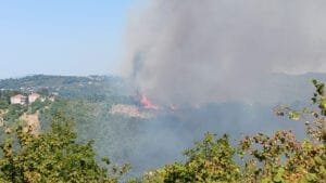 Alaplı’da ormanlık alanda yangın çıktı
