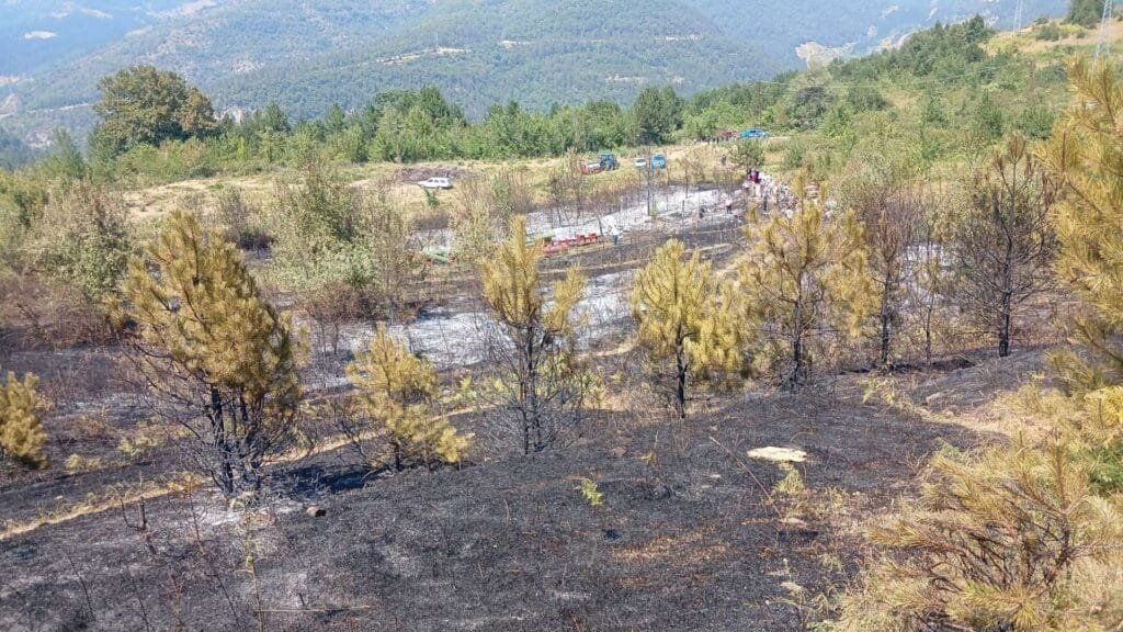 Eğerci-Dereköy’de çıkan yangın büyümeden söndürüldü