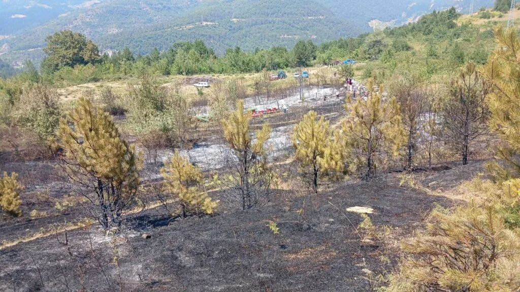 Eğerci-Dereköy’de çıkan yangın büyümeden söndürüldü