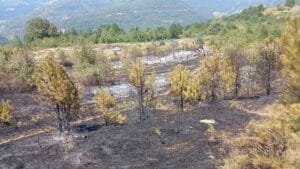 Eğerci-Dereköy’de çıkan yangın büyümeden söndürüldü