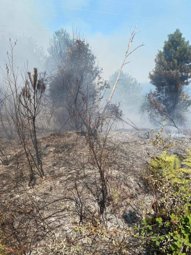 Kozlu’da orman yangını kontrol altına alındı