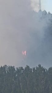 Bartın’da orman yangını başladı, müdahale sürüyor
