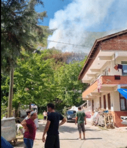 Bartın’ın Ulus ilçesinde orman yangını
