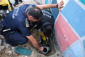 İtfaiyeden kedi kurtarma operasyonu