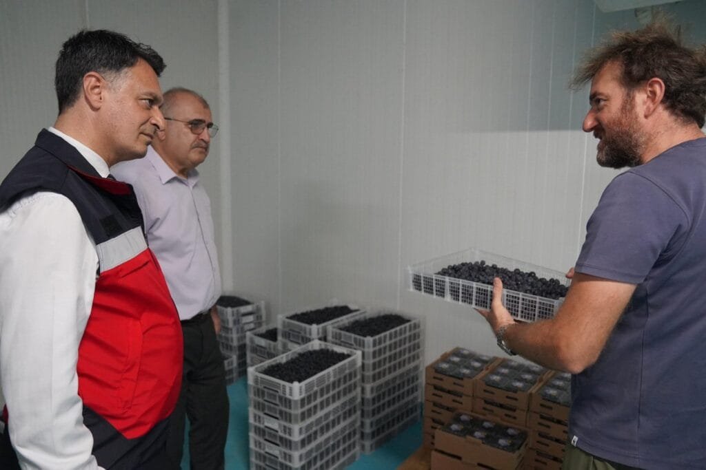 Zonguldak ve Bartın tarım müdürlerinden yaban mersini bahçesine ziyaret
