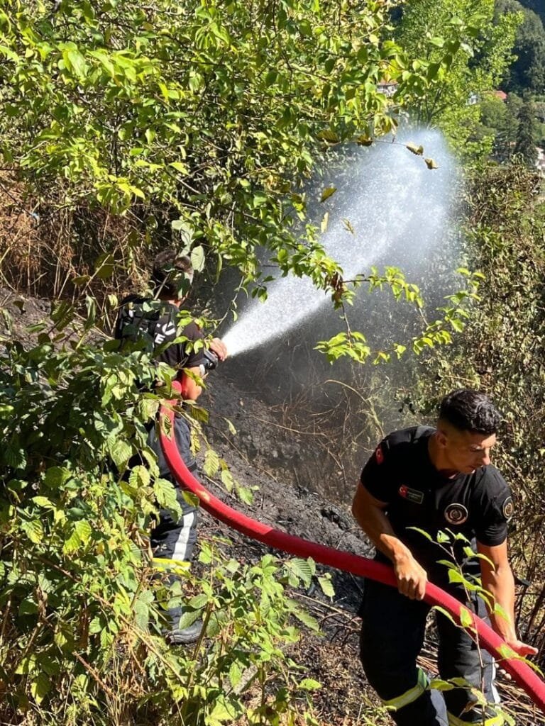 Zonguldak’ta anız yangını korkuttu