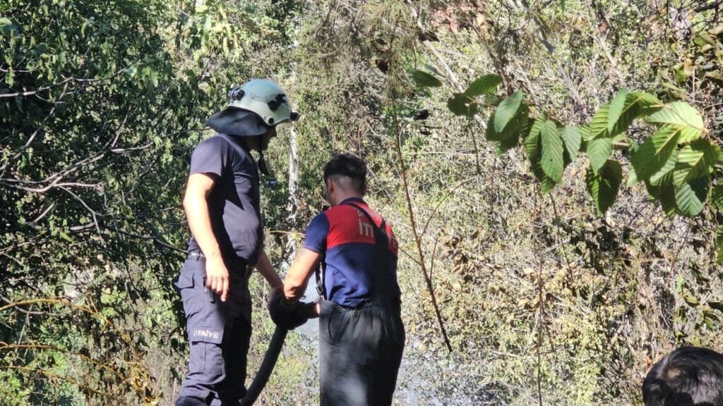 Zonguldak’ta orman yangını kısa sürede söndürüldü