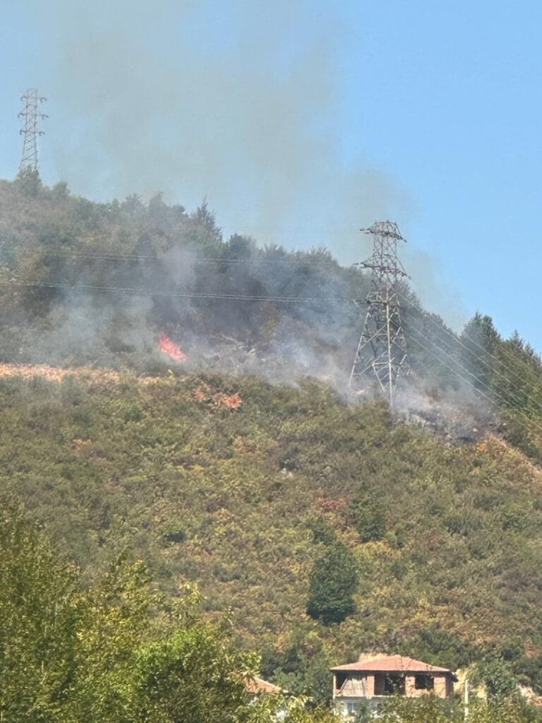 Zonguldak’ta ormanlık alanda yangın çıktı