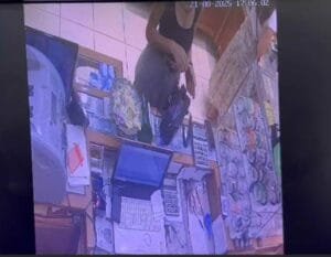 Zonguldak’ta sahte altın operasyonu: İki dolandırıcı polis tarafından yakalandı