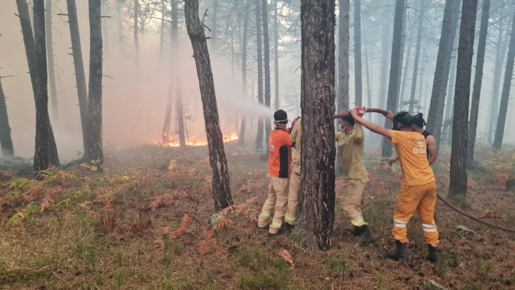 Karabük’te Orman Yangınına Havadan ve Karadan Müdahale