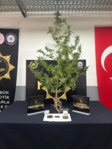Karabük’te uyuşturucu operasyonu: 4 gözaltı, 1 tutuklama