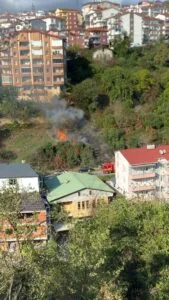 Karadeniz Ereğli’de çalılık alanda yangın
