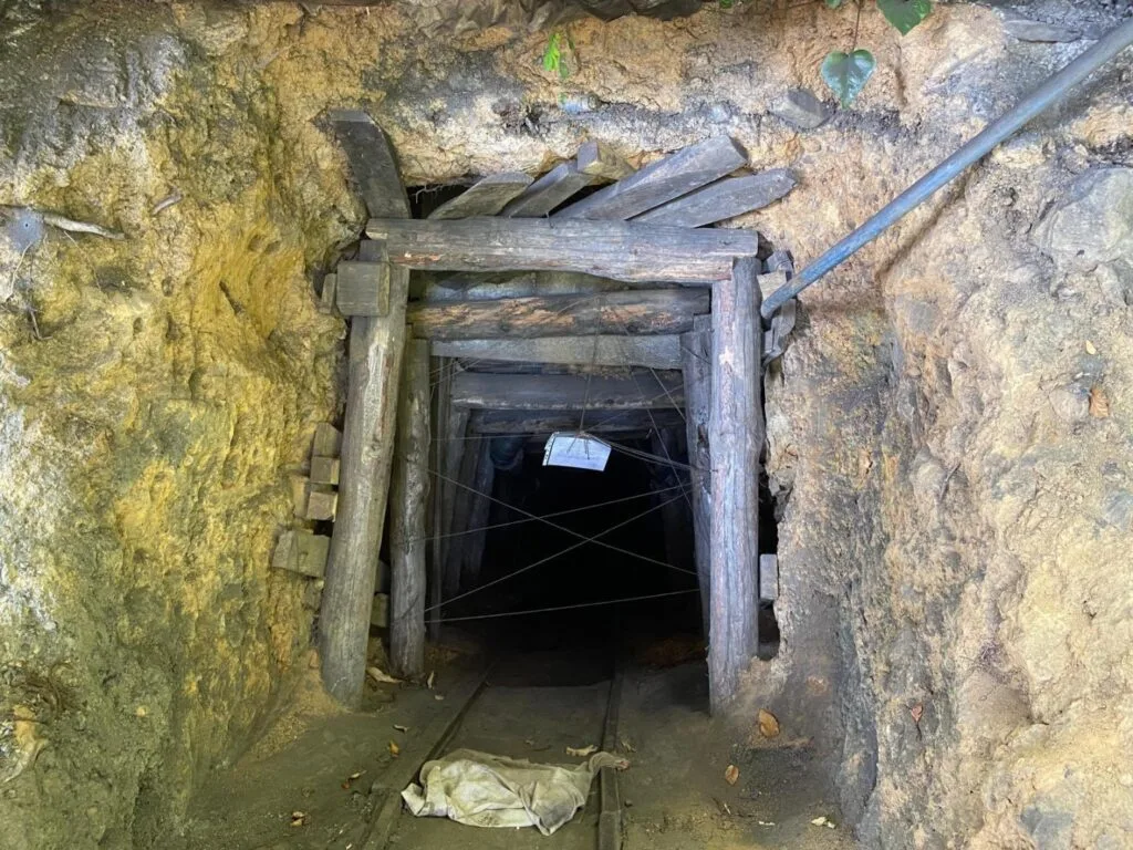 Zonguldak’ta bir haftalık denetimlerin bilançosu açıklandı