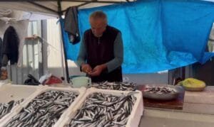 Zonguldak’ta hamsi 100 liraya düştü, tezgahlar doldu taştı