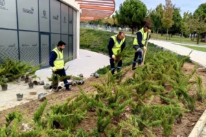 Dilovası Millet Bahçesi'nde dip köşe temizliği