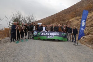 Ali Dağı'nın zirvesine bin 111 fidan