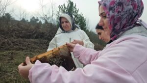 Zonguldak Ormanlarında “Ana Kraliçe” ve Kızları: Dededen Toruna Uzanan Tatlı Miras